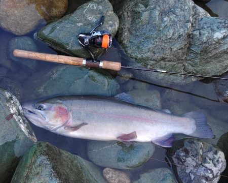 天竜川ルアーフライ専用区